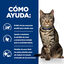 Hill's Prescription Diet Metabólico Control de Peso Pescado Sobre en Salsa para gatos, , large indicador imagen numero 3